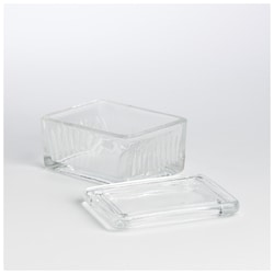 Shandon Horizontal Staining Jar, Horizontal staining jar, Holds 20 slides back-to-back 20 | Buy Online | Epredia | Fisher Scientific