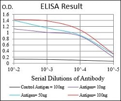 PRKACA Mouse anti-Human, Clone:7H3A4, Abnova™