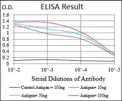 PER3 Mouse anti-Human, Clone:5D5B8, Abnova 100&mu;g:Antibodies, Monoclonal