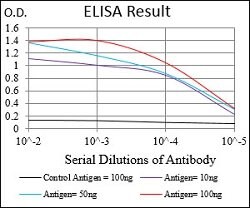 RANGAP1 Mouse anti-Human, Clone:4F9E2, Abnova 100&mu;g:Antibodies, Monoclonal