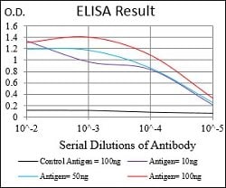 PTPN1 Mouse anti-Human, Clone:4F8F11, Abnova 100&mu;g:Antibodies, Monoclonal
