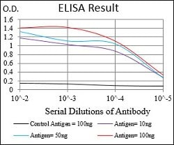 PER3 Mouse anti-Human, Clone:4B9D7, Abnova 100&mu;g:Antibodies, Monoclonal