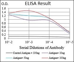 RAP1GAP Mouse anti-Human, Clone:2G7B6, Abnova 100&mu;g:Antibodies, Monoclonal
