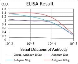 PDK2 Mouse anti-Human, Clone:3F2D7, Abnova 100&mu;g:Antibodies, Monoclonal