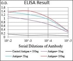 PTPN1 Mouse anti-Human, Clone:4F11B9, Abnova 100&mu;g:Antibodies, Monoclonal
