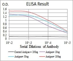SSH1 Mouse anti-Human, Clone:6C11G9, Abnova 100&mu;g:Antibodies, Monoclonal