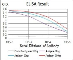 EIF5A Mouse anti-Human, Clone:4E10F6, Abnova 100&mu;g:Antibodies, Monoclonal