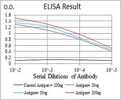 CASP3 Mouse anti-Human, Mouse, Rat, Clone:3D4D10, Abnova 100&mu;g:Antibodies,