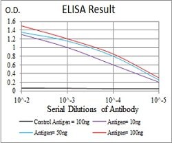 KAT5 Mouse anti-Human, Clone:4B3B4, Abnova 100&mu;g:Antibodies, Monoclonal