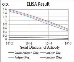 KAT5 Mouse anti-Human, Clone:2A11H7, Abnova 100&mu;g:Antibodies, Monoclonal