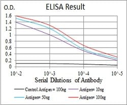 KBTBD8 Mouse anti-Human, Clone:7G8A6, Abnova 100&mu;g:Antibodies, Monoclonal