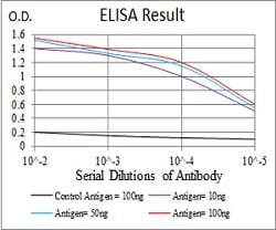 ERCC1 Mouse anti-Human, Clone:1E5B3, Abnova 100&mu;g:Antibodies, Monoclonal
