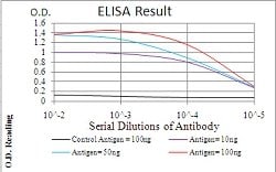 NFKBIA Mouse anti-Human, Clone:4D4C4, Abnova 100&mu;g:Antibodies, Monoclonal