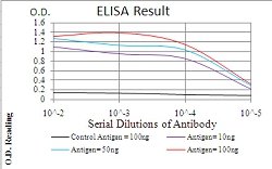 NFKBIA Mouse anti-Human, Clone:4D4F2, Abnova 100&mu;g:Antibodies, Monoclonal