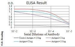 HMMR Mouse anti-Human, Clone:2F2C9, Abnova 100&mu;g:Antibodies, Monoclonal