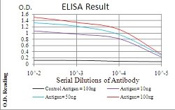 TERT Mouse anti-Human, Clone:3H2C12, Abnova 100&mu;g:Antibodies, Monoclonal