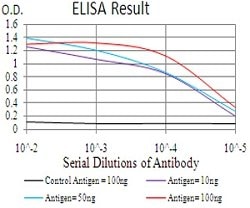 CIDEC Mouse anti-Human, Clone:7C12F11, Abnova 100&mu;g:Antibodies, Monoclonal