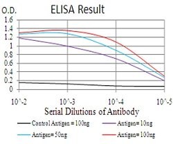 GLI1 Mouse anti-Human, Clone:1B9F8, Abnova 100&mu;g:Antibodies, Monoclonal