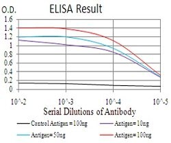 KDM5B Mouse anti-Human, Clone:7H3D7, Abnova 100&mu;g:Antibodies, Monoclonal