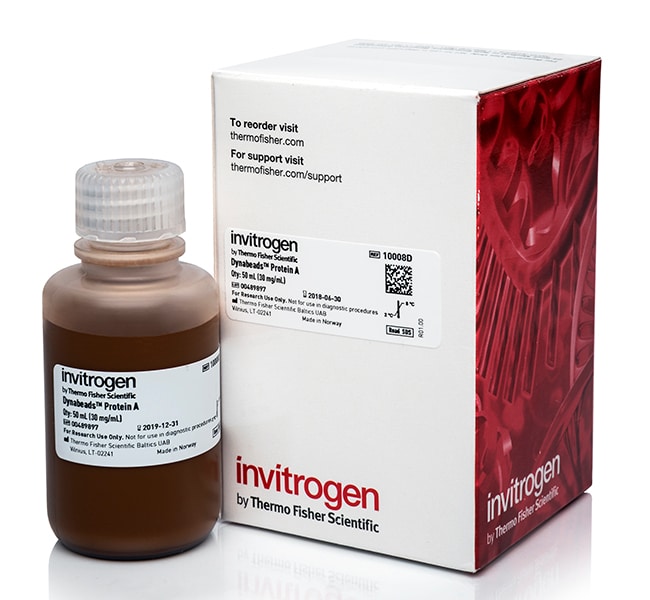 Invitrogen Dynabeads Protein A for Immunoprecipitation 50 mL | Buy ...