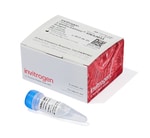 その他 masa Invitrogen Lipofectamine RNAiMAX Transfection Reagent 0.75 mL