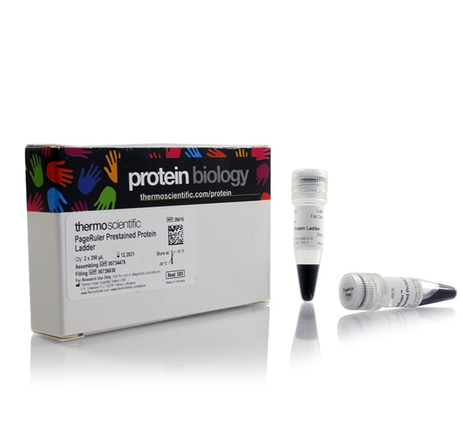 Thermo Scientific™ PageRuler™ Prestained Protein Ladder 10 to 180 kDa