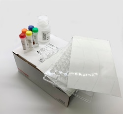 Invitrogen™ EnzChek™ Paraoxonase Assay Kit