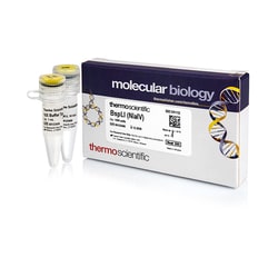 Thermo Scientific BspLI (NlaIV) (10 U/ L) 1,000 units | Buy Online | Thermo Scientific&trade; | Fisher Scientific