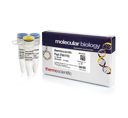 Thermo Scientific™ PsyI (Tth111I) (10 U/μL)