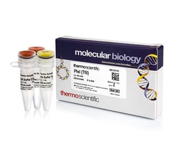Thermo Scientific&trade;&nbsp;PfeI (TfiI) (10 U/&mu;L)