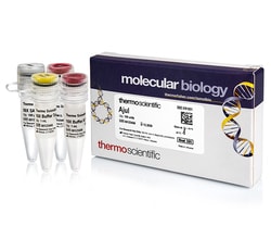 Thermo Scientific AjuI (5 U/ L) 100 unidades | Buy Online | Thermo Scientific&trade; | Fisher Scientific