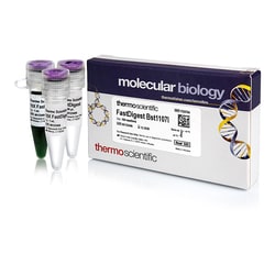 Thermo Scientific FastDigest Bst1107I 100&mu;L:Enzymes and Inhibitors,