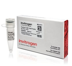 Invitrogen TrueCut HiFi Cas9 Protein (5 g/ L) 5 &mu;g/&mu;L, 100 &mu;g:Enzymes