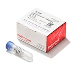 Invitrogen Lipofectamine RNAiMAX Transfection Reagent 0.75 mL
