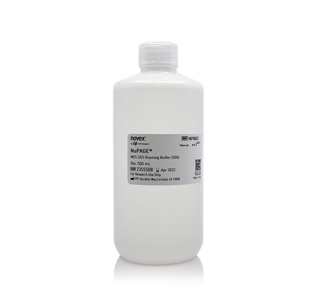 Invitrogen NuPAGE MES SDS Running Buffer 20X 500 ML Buy Online Invitrogen NuPAGE MES SDS Running Buffer 20X 500 ML Buy Online