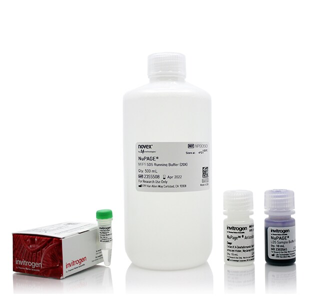 Invitrogen™ NuPAGE™ MOPS SDS Buffer Kit (for BisTris Gels) 1 kit