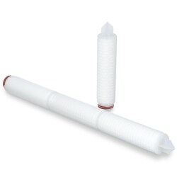 Thermo Scientific&trade;&nbsp;LifeASSURE&trade; BBA 10 in. Filter Cartridge, BBA045A01CA2, 0.45&mu;m