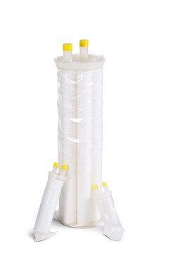 Thermo Scientific&trade;&nbsp;CUNO&trade; CTG-Klean System Filter Pack with Betapure&trade; AU Series Filter Cartridge, 1GPK1 AU09E11NN, 20 &mu;m