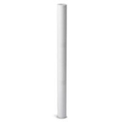 Thermo Scientific&trade;&nbsp;Betapure&trade; AU Filter Cartridge AU29A12NG, 3 &mu;m