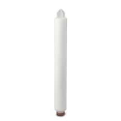 Thermo Scientific&trade;&nbsp;Betapure&trade; NT-T Series Filter Cartridge NT20T010Z2CA, 1 &mu;m