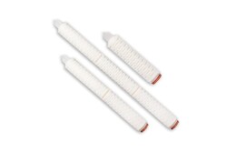 Thermo Scientific&trade;&nbsp;LifeASSURE &trade; BFS Series Filter Cartridge, BFS020A02CK1, 0.2&mu;m, 222/Spear, PTFE