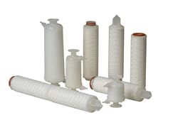 Thermo Scientific&nbsp;LifeASSURE&trade; PNA Series Filter Cartridge