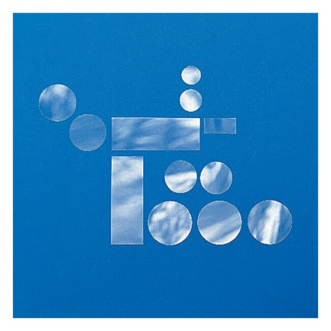 Thermo Scientific™ Nunc™ Thermanox™ Coverslips Fisher Scientific