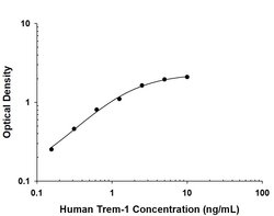 Human TREM-1 Antibody, R D Systems 100 &mu;g; Unconjugated:Antibodies,
