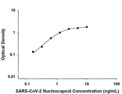 SARS-CoV-2 Nucleocapsid Antibody, R D Systems 25 &mu;g | Buy Online | R&D Systems | Fisher Scientific