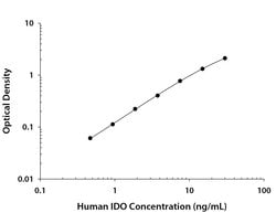Human Indoleamine 2,3-dioxygenase/IDO Antibody, R D Systems:Antibodies:Primary