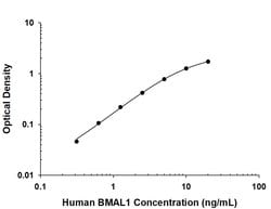 Human BMAL1 Antibody, R D Systems 100 &mu;g; Unconjugated:Antibodies, Monoclonal