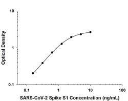 SARS-CoV-2 Spike RBD Antibody, R D Systems 25 &mu;g; Unconjugated:Antibodies,