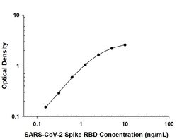 SARS-CoV-2 Spike RBD Antibody, R D Systems 100 &mu;g; Unconjugated:Anticuerpos