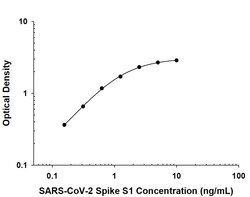 SARS-CoV-2 Spike RBD Antibody, R D Systems 100 &mu;g; Unconjugated:Anticuerpos